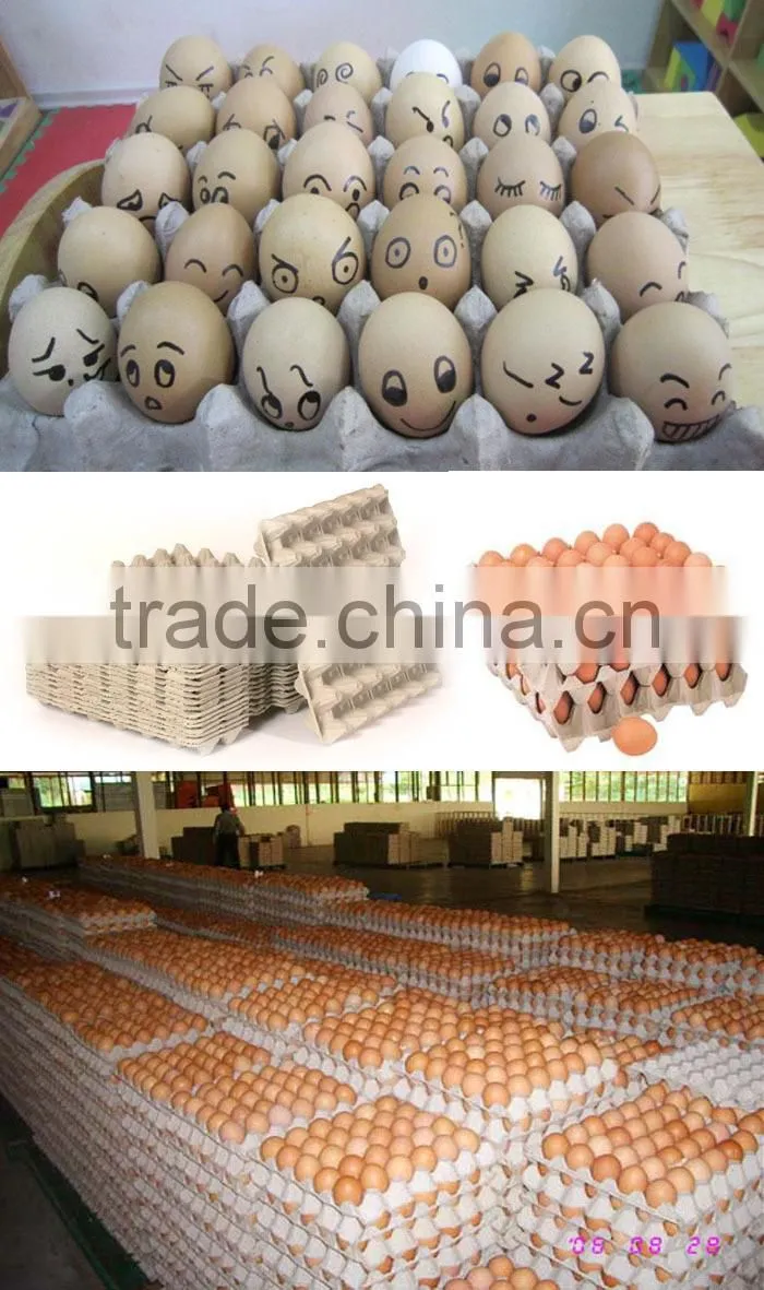 Automatic Small Egg Tray Making Machine With Large Capacity