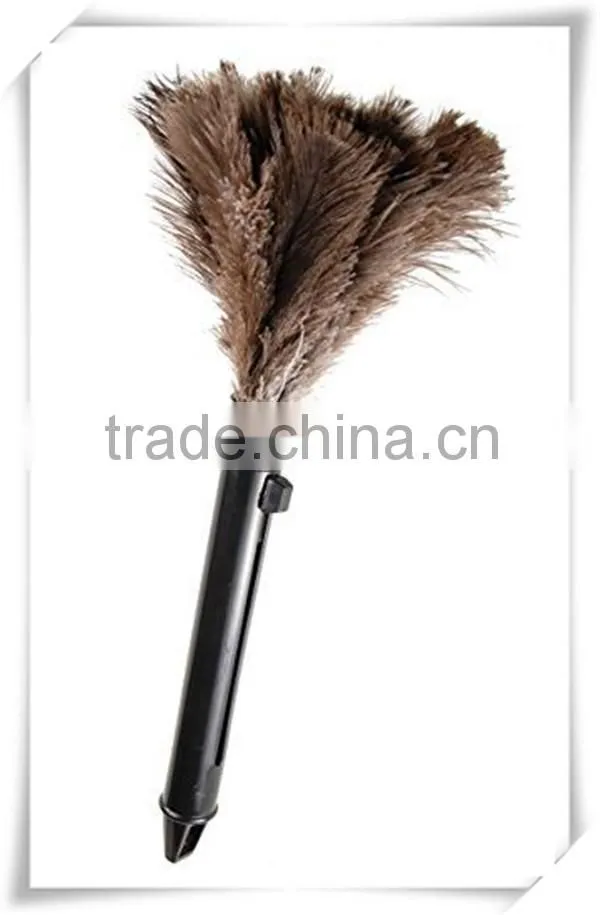ostrich feather duster for house cleaning