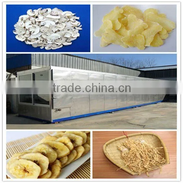 High effencient vegetable food dryer in food industry with best service