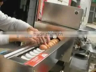 farm equipment stainless steel 3000pcs/h hen egg breaking machine for sale(008613823777570)