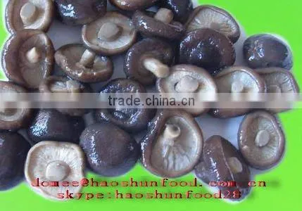 Canned Shiitake mushroom HACCP Approval