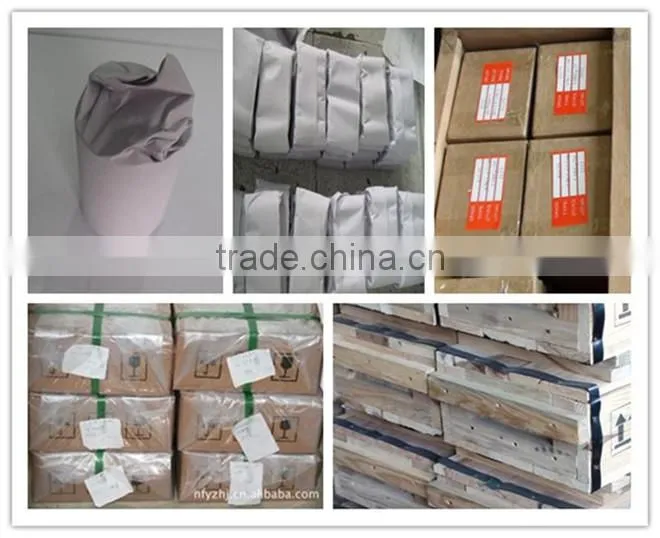 Manufacturer supply all kinds of cemented carbide punching dies