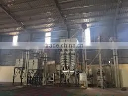 High Quality Vietnam High Fat Medium Desiccated Coconut