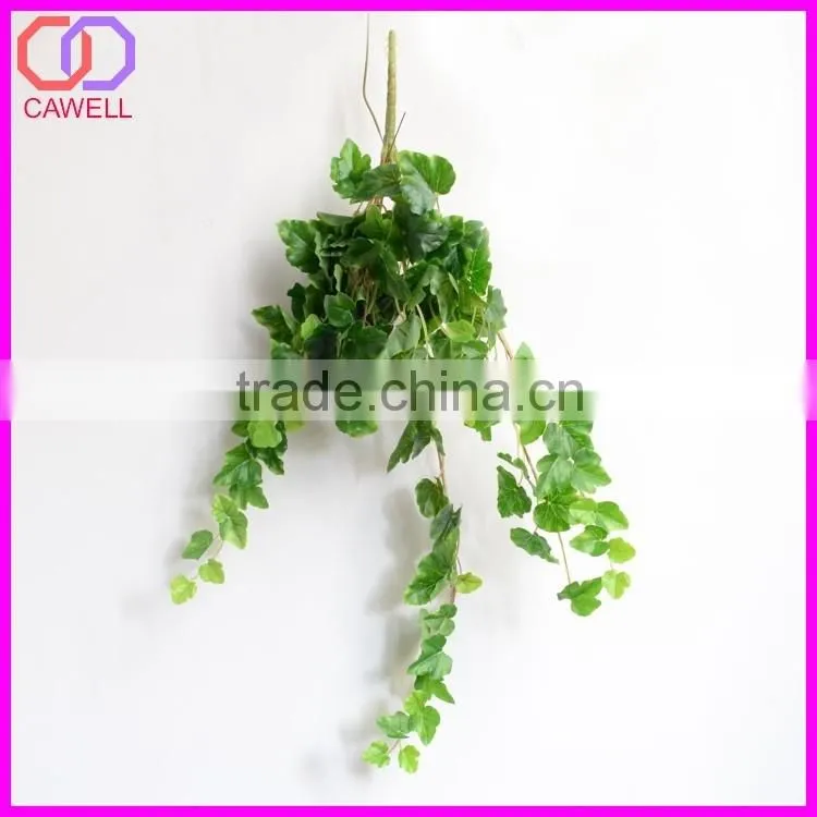 important of ornamental plant