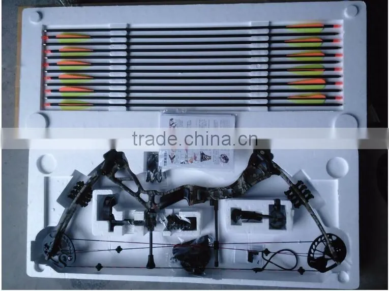 China Archery Compound Bow 195 for Hunting and Shooting