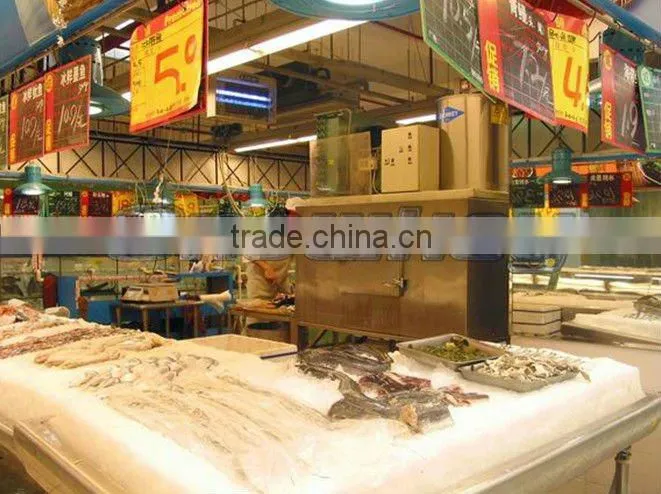 5T/Day Flake Ice Makeing Machine- Air-cooler