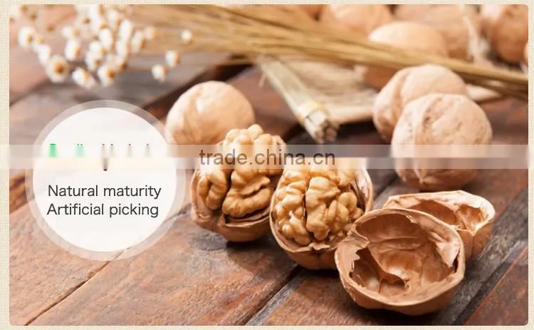 Quality Walnut and Walnut Kernel
