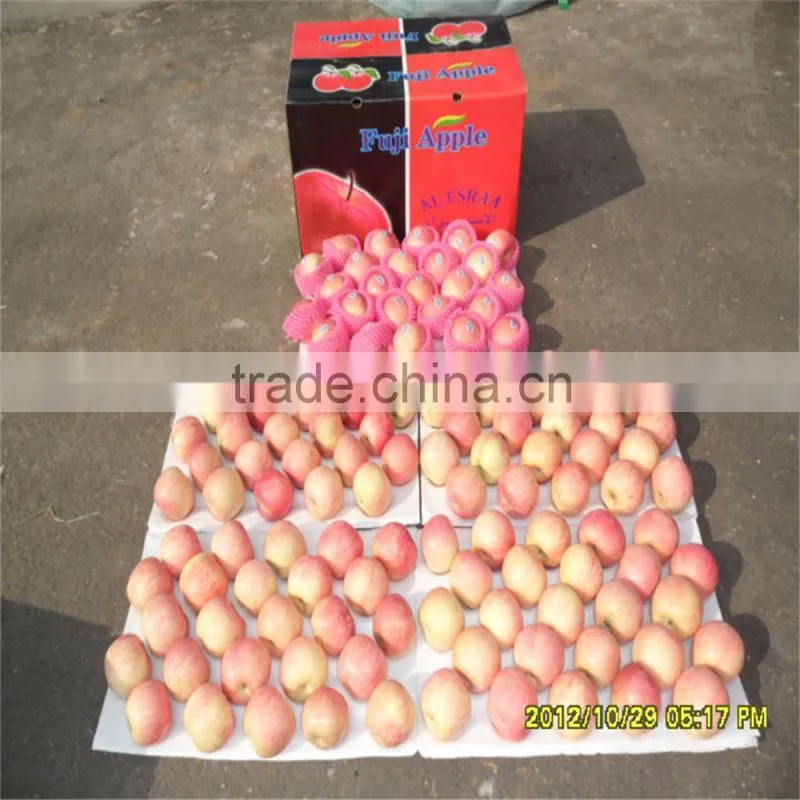 Best Price Fresh Thin Peel Fuji Apple