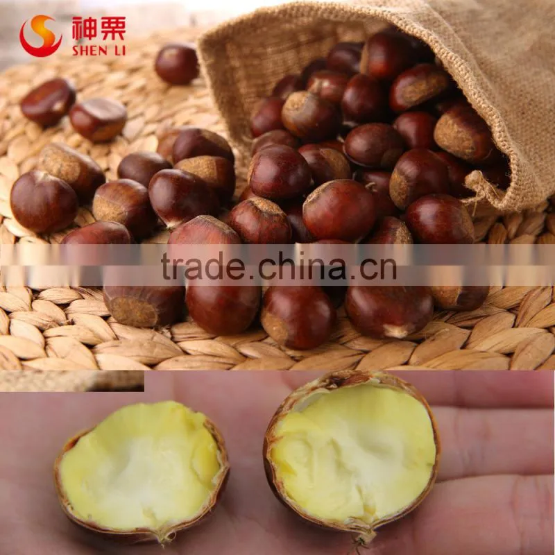 Bulk chinese chestnuts for sale