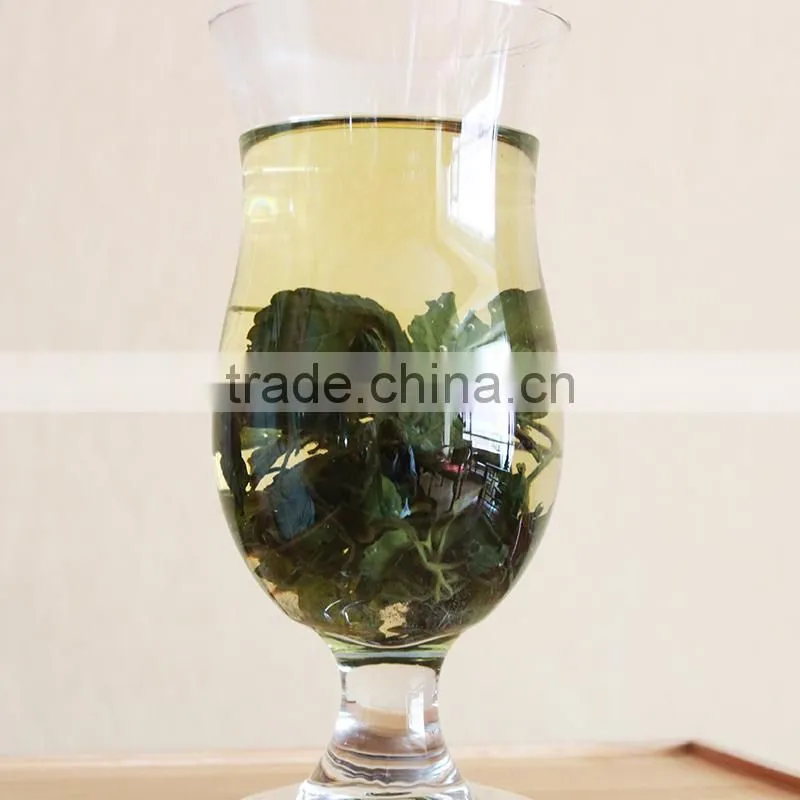 jiaogulan,Fiveleaf Gynostemma Herb,Chinese Herbal Medicine,jiaogulan herb,jiaogulan tea