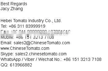 340g Canned Corned Beef Factory with Competitive Price