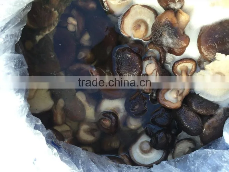 2016 crop Shiitake mushroom in brine