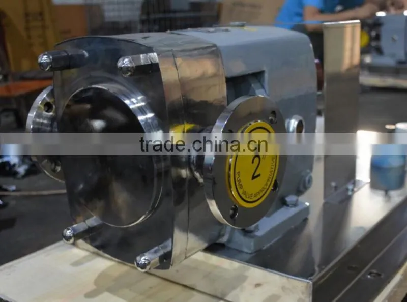 Factory direct supply stainless steel vacuum pump oil/oil pump 12v electric