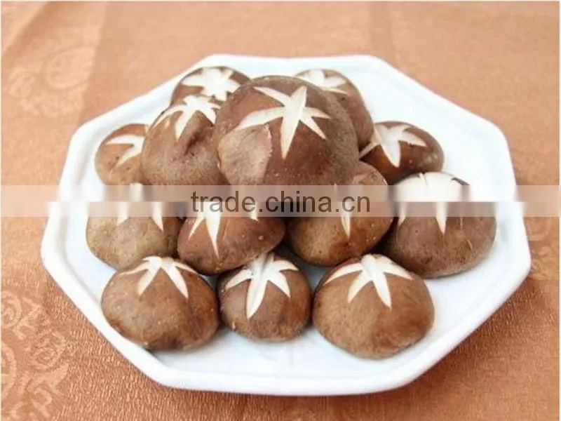 Dried flower mushroom, china shiitake mushroom