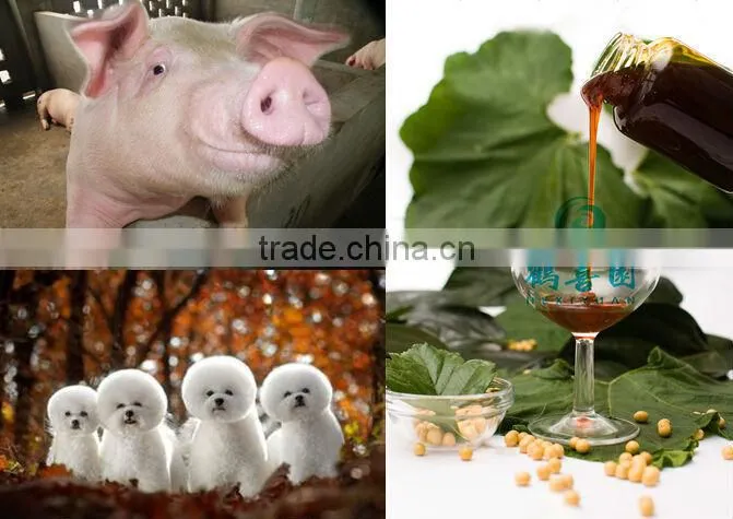 energy supplements Animal feed soya lecithin