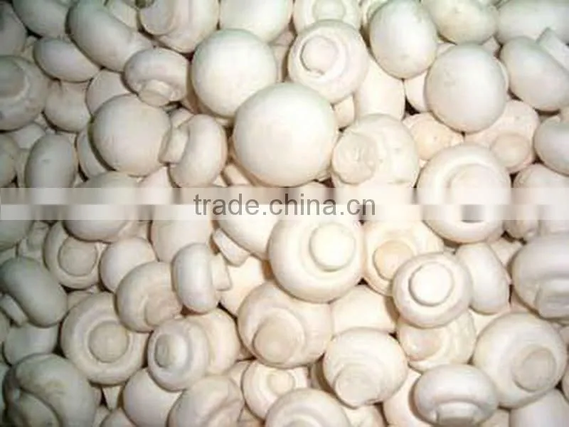 bulk package China dried shiitake mushrooms