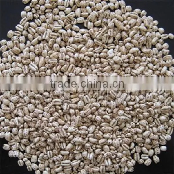 high efficiency and professional corn bulking machine