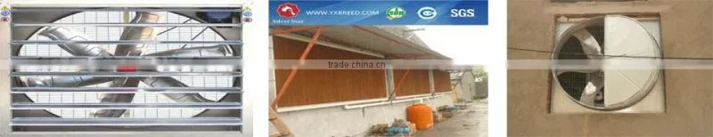 hot galvinized metal poultry chicken cages