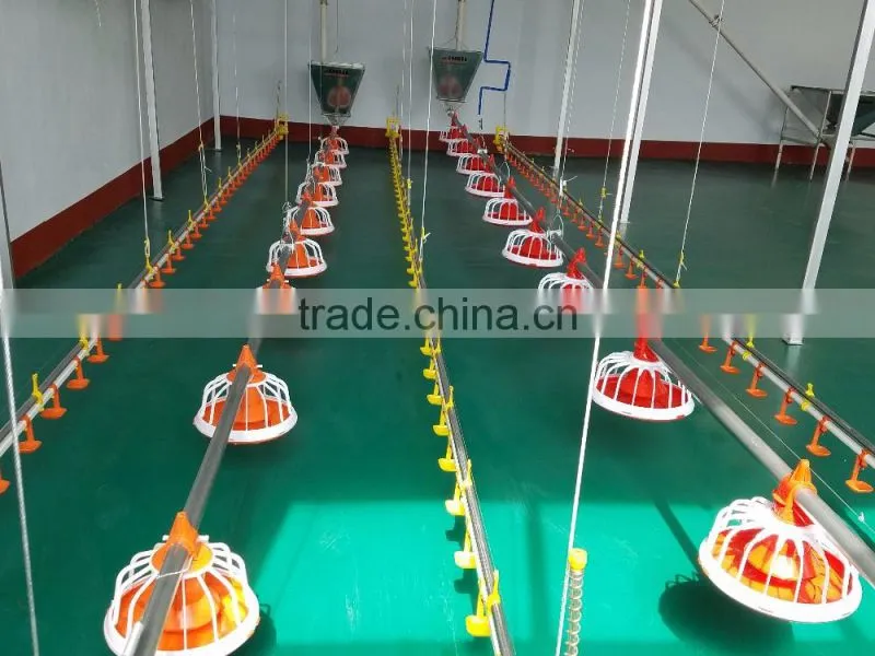 amazing quality chiken drinker / commodity chicken rearing automatic drink line