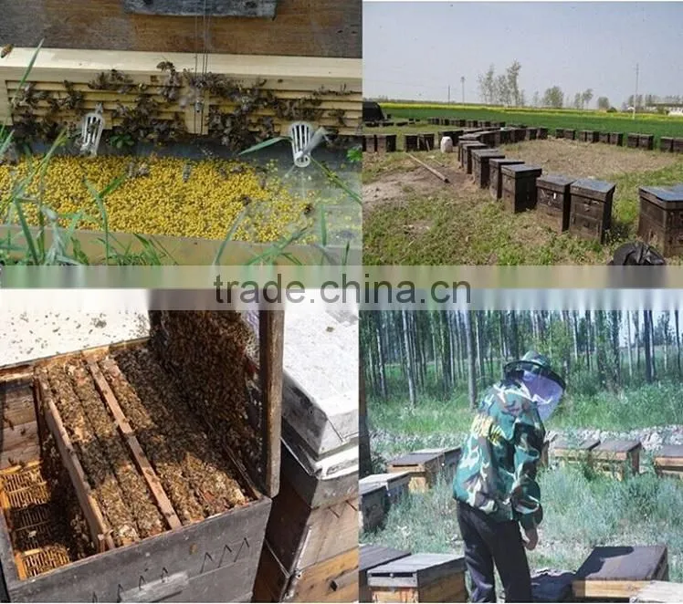 Nylon honey Gate Bee gate For Beekeeping