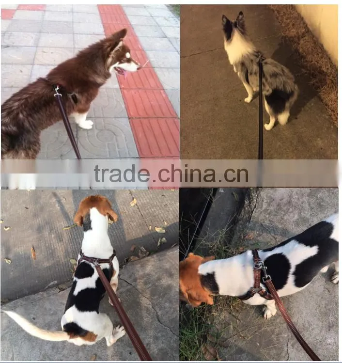 Durable wholesale pet dog leash and harness