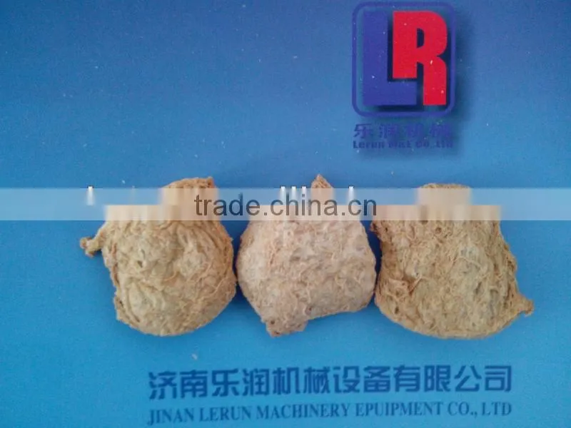 Texture Soya Peanut protein food machine