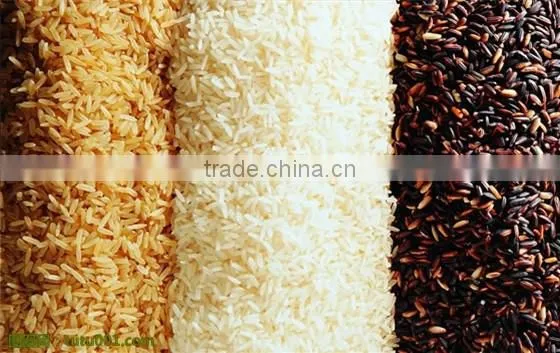 MINGDER Black rice corlor sorting machine with CCD