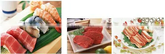 Frozen Meat Dicer