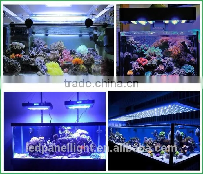 240w dimmable led light suitable arowana fish health grow light