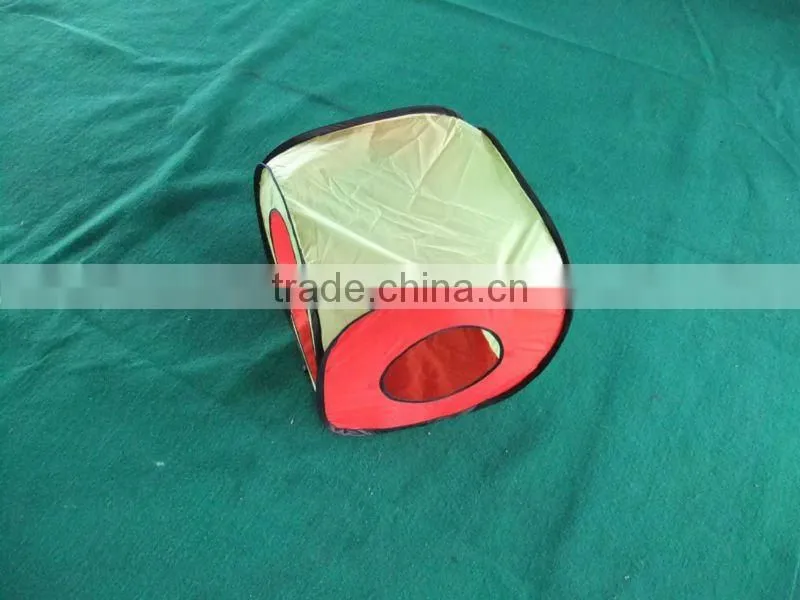pet play cube and tunnel
