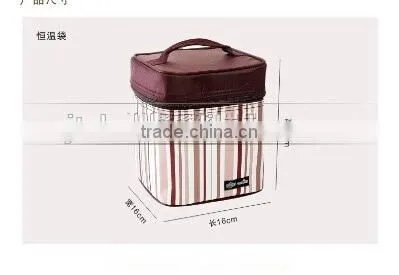 Hot Sale Lovely Waterproof 4.6L Travel Picnic Lunch bag Snack Tote Small Squre Isothermic Cooler Handbag