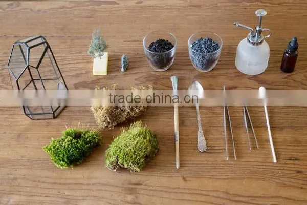 Best unique planter diy for succulent