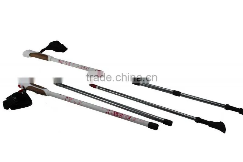 Nordic walking stick, cheap price, 3 sections, internal lock, 6061 Aluminum SZ17007
