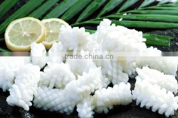 frozen carving squid