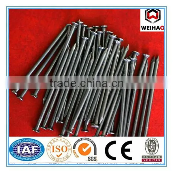 Building common wire nail, Construction Common nail iron nail factory