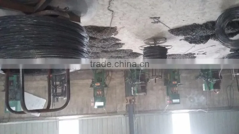 cheaper price shoe nail,factory product