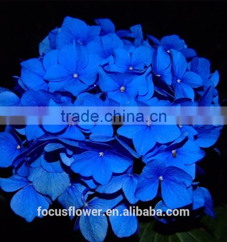 Real Touch Dark Blue Hydrangea Wholesale