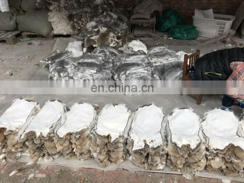 Online wholesale shop Rabbit Fur Skins and rabbit skins for plate, for Garment