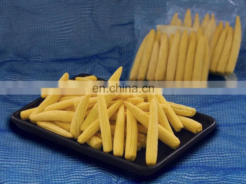 Fresh Baby Corn Vacuum Pack Canned Baby Corn/ Frozen Baby Corn