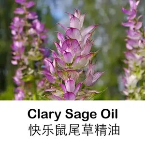 1000-4000L Patchouli Essential Oil Essential Oil Essential Oil Distillation Plant