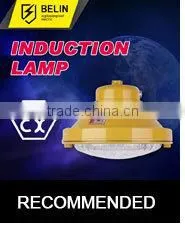 SBD1109 Induction Lamp IP66 WF1