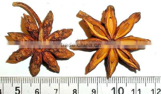 star anise from Orient Vietnam