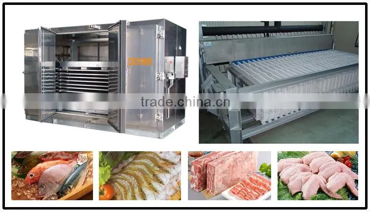 Top quality PLC Control Systems Automatic containerized plate ice machine For sale