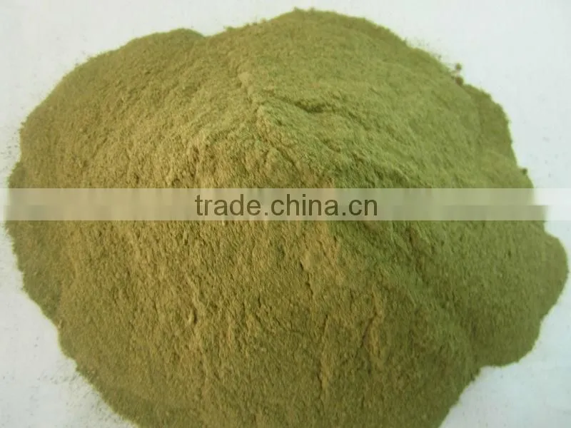 Ulva lactuca (Powder)