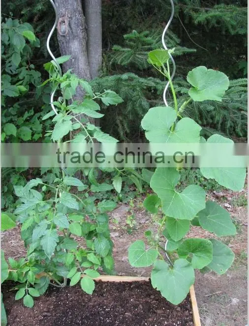 Factory supply plant growning support