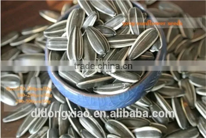 High Quality Raw Sunflower Seeds for Oil Price