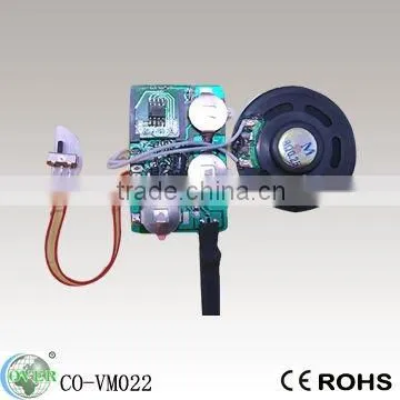 Recordable sound chip programmable sound modules for greeting cards and sound box