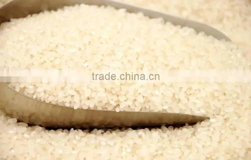 Rice microwave drying sterilizer