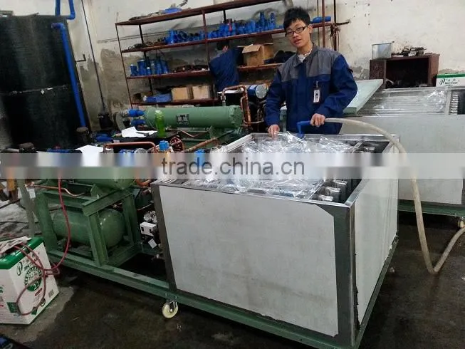 Cheap Bag Ice Block Machine for Fish for Africe
