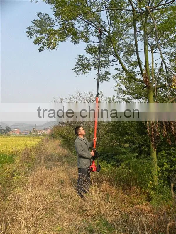 Gasoline long pole pruner